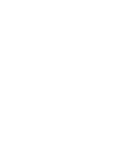 bg3